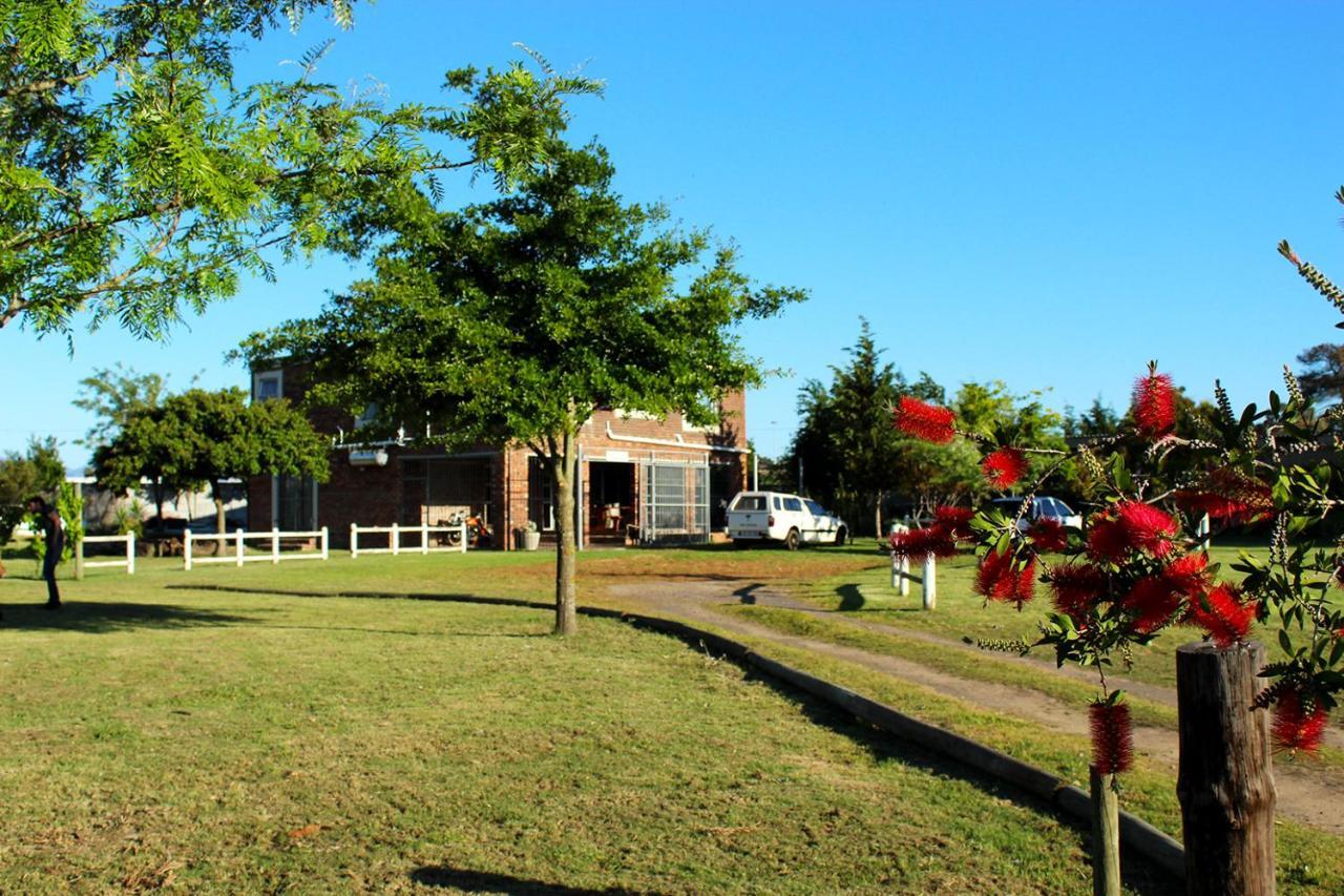 African Adventures Accommodation Durbanville Luaran gambar